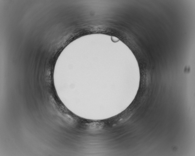 X0000111180700200908121112