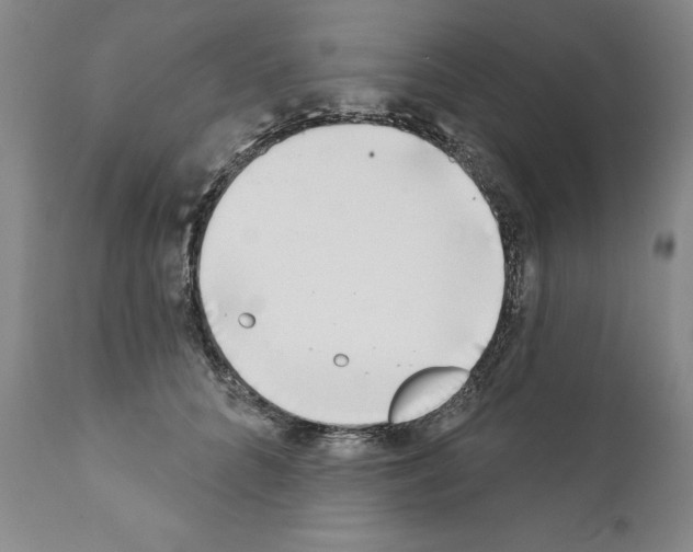 X0000111180704200908121112