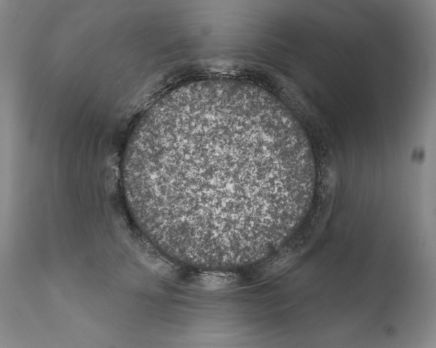 X0000111180707200908121112