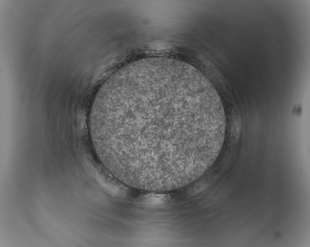 X0000111180711200908121112