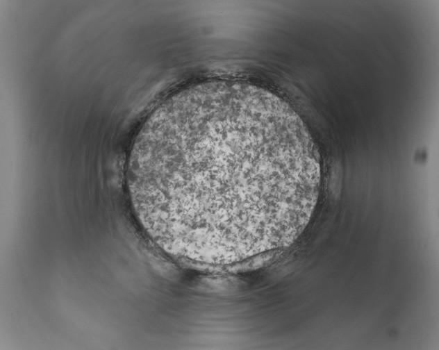 X0000111180712200908121112