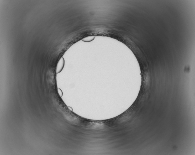 X0000111180715200908121112