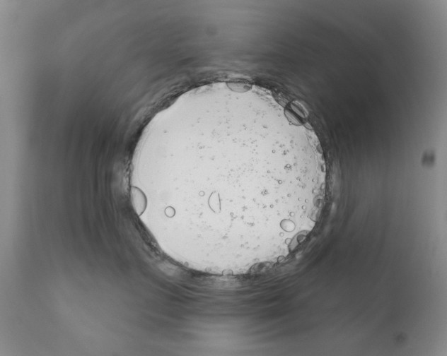 X0000111180719200908121111