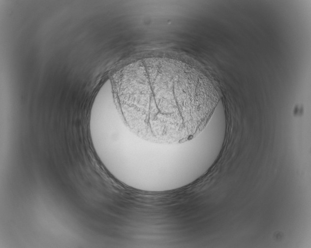 X0000111180720200908121111