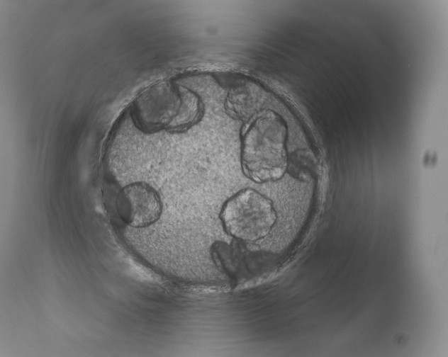 X0000111180721200908121111