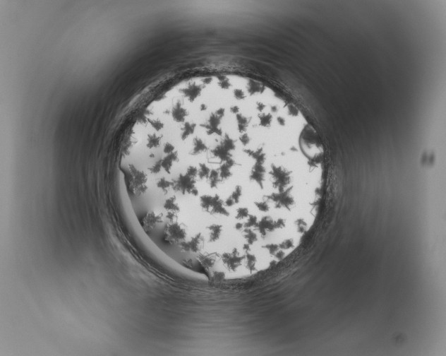 X0000111180722200908121111