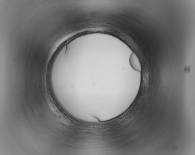 X0000111180724200908121111