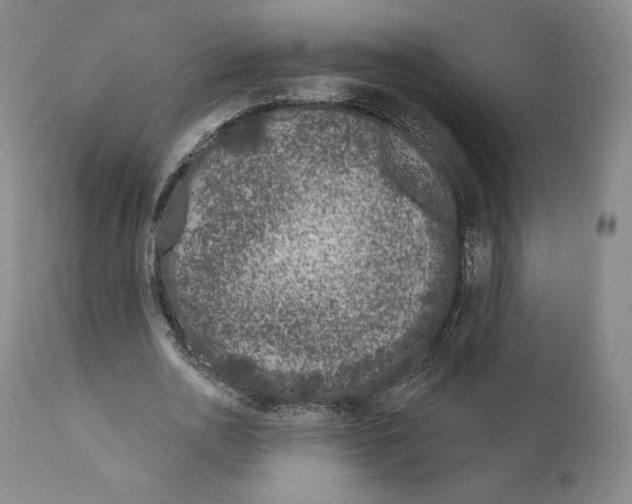 X0000111180726200908121111