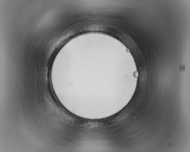 X0000111180727200908121111