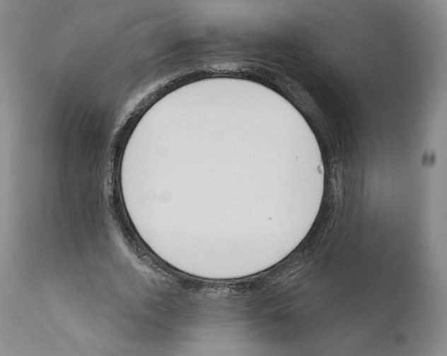 X0000111180728200908121111