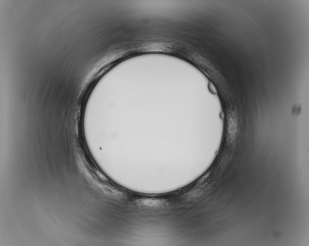 X0000111180730200908121111