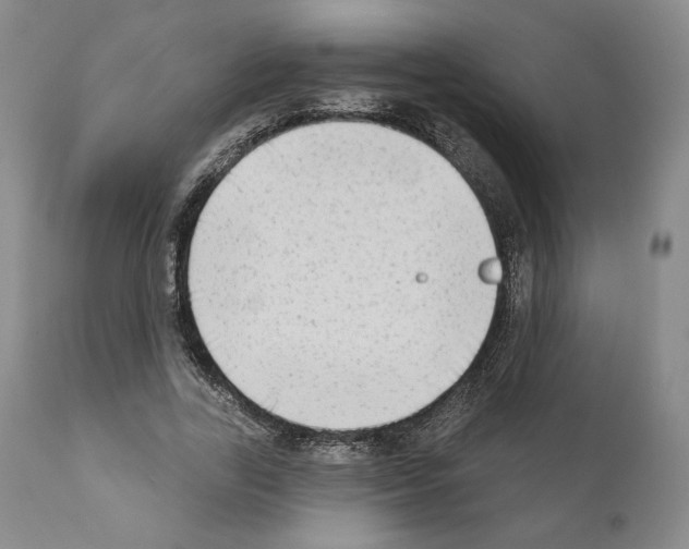 X0000111180731200908121111