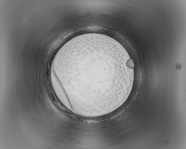 X0000111180734200908121111