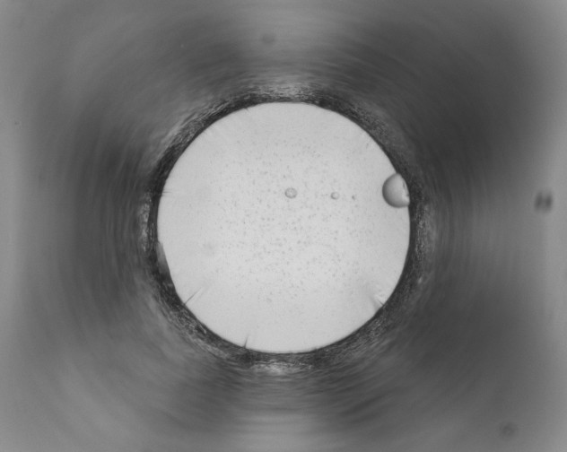 X0000111180739200908121111