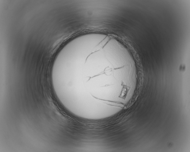 X0000111180740200908121111