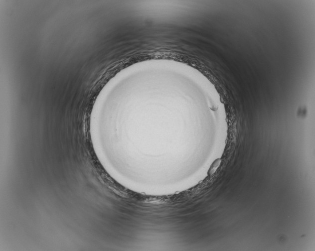 X0000111180756200908121111