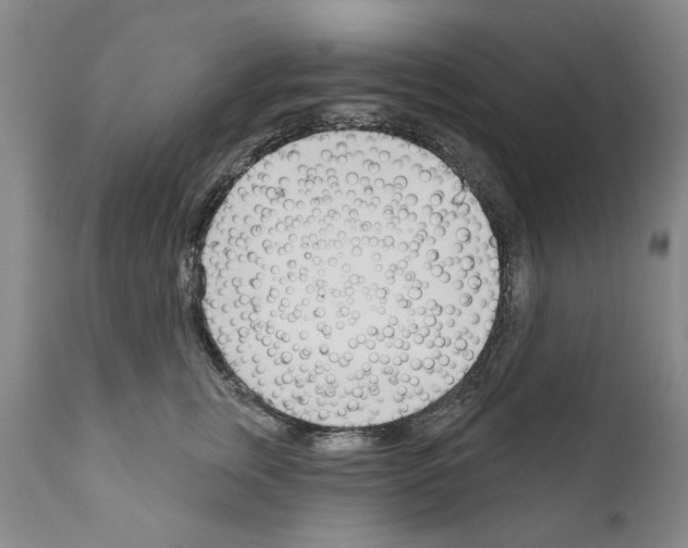 X0000111180759200908121111