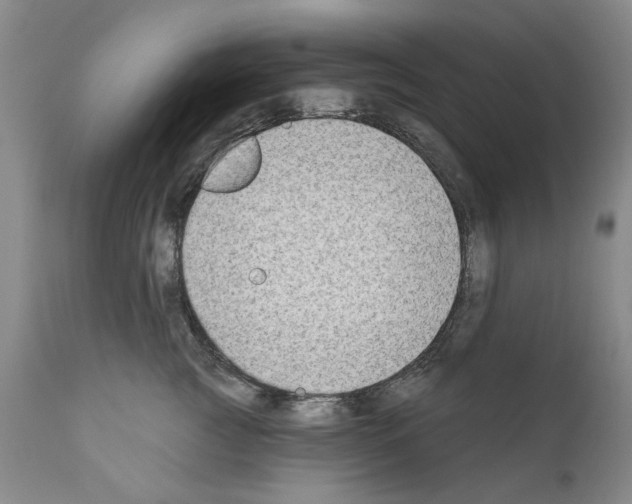 X0000111180761200908121111