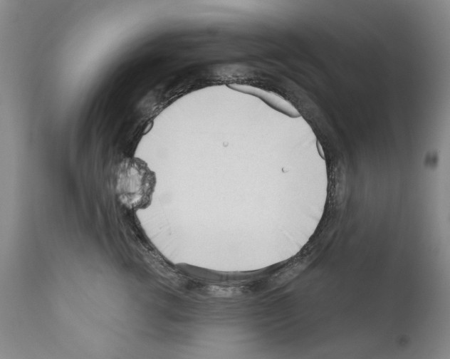 X0000111180762200908121111