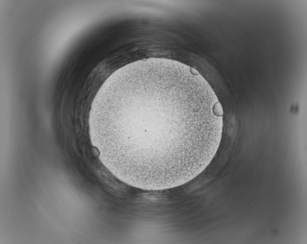 X0000111180763200908121111