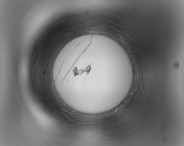 X0000111180764200908121111