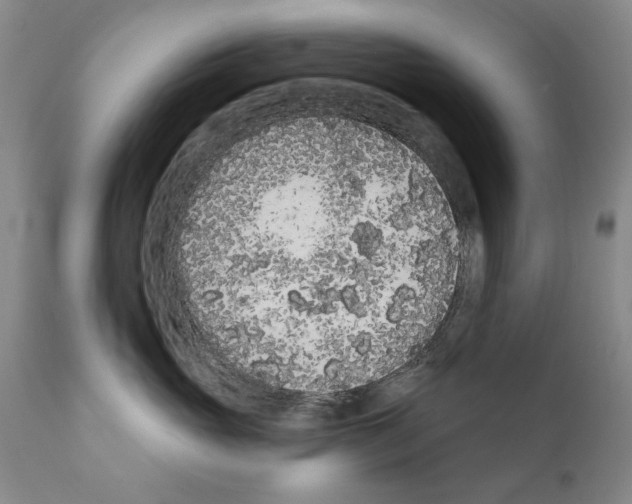 X0000111180765200908121111