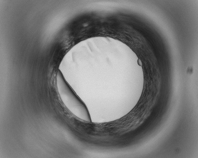 X0000111180766200908121111