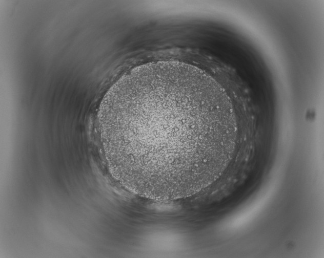 X0000111180767200908121111