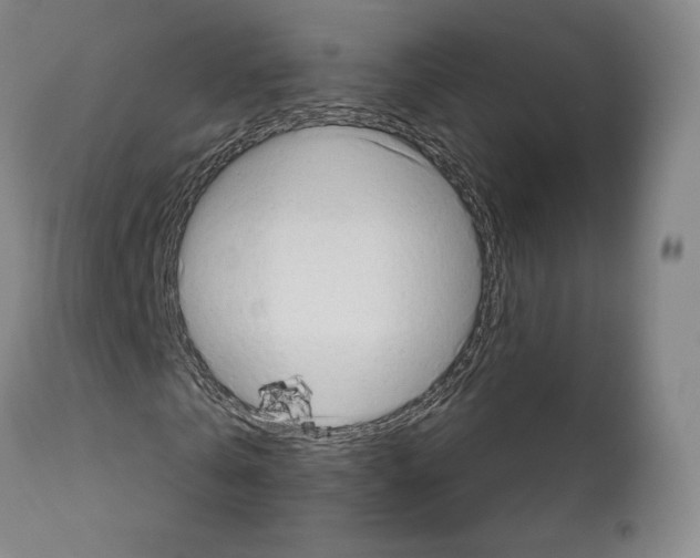 X0000111180769200908121111