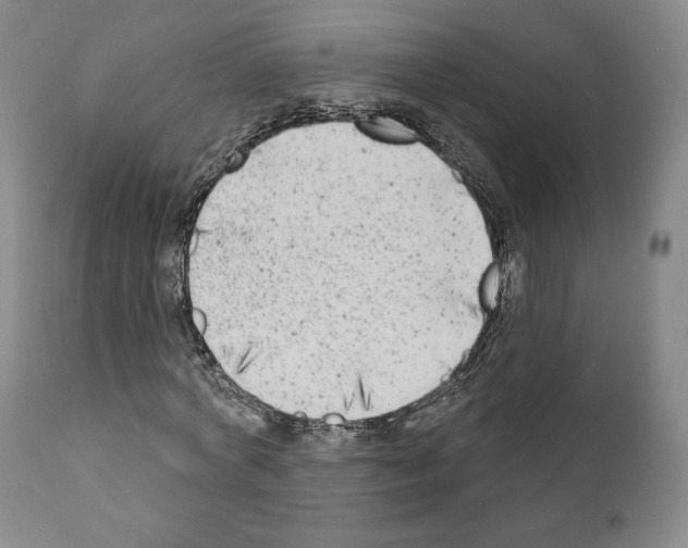 X0000111180772200908121111