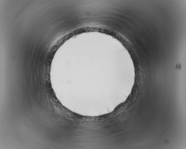 X0000111180775200908121111