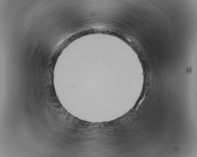 X0000111180776200908121111