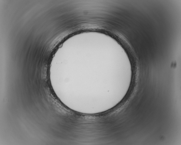 X0000111180777200908121111