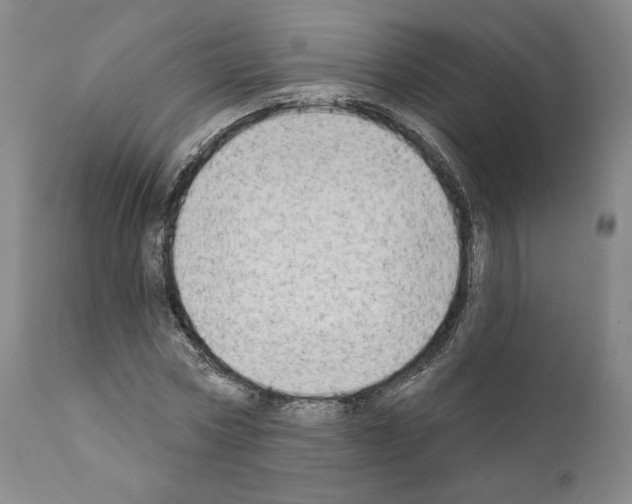 X0000111180778200908121111