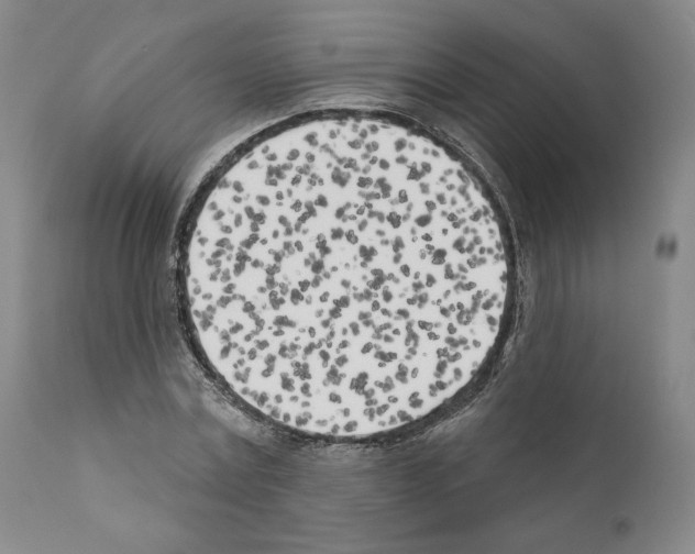 X0000111180779200908121111