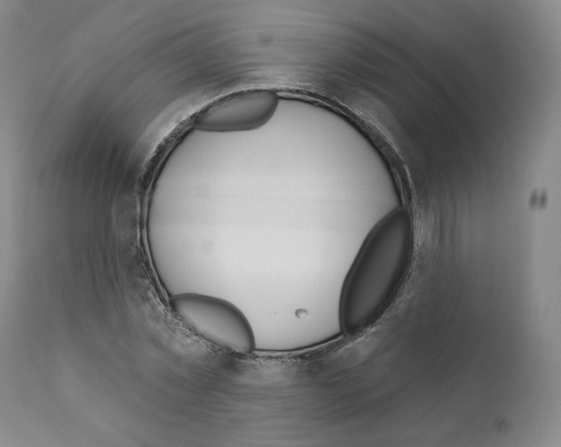 X0000111180781200908121111