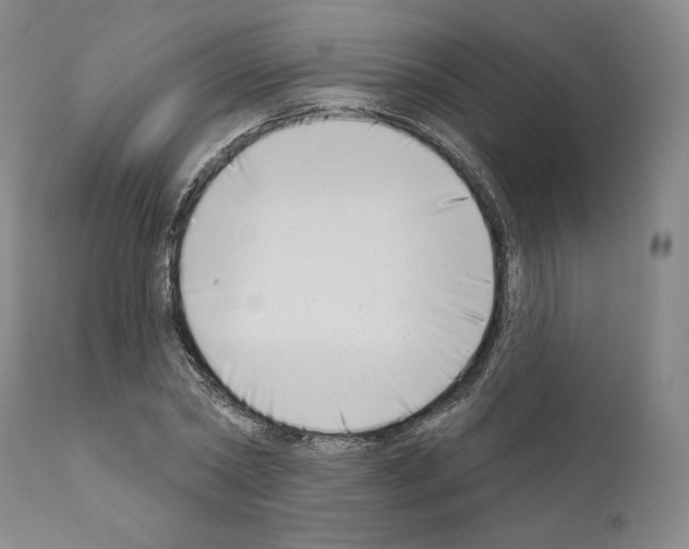 X0000111180782200908121111