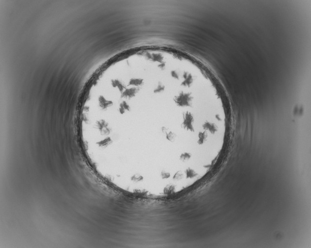 X0000111180783200908121111