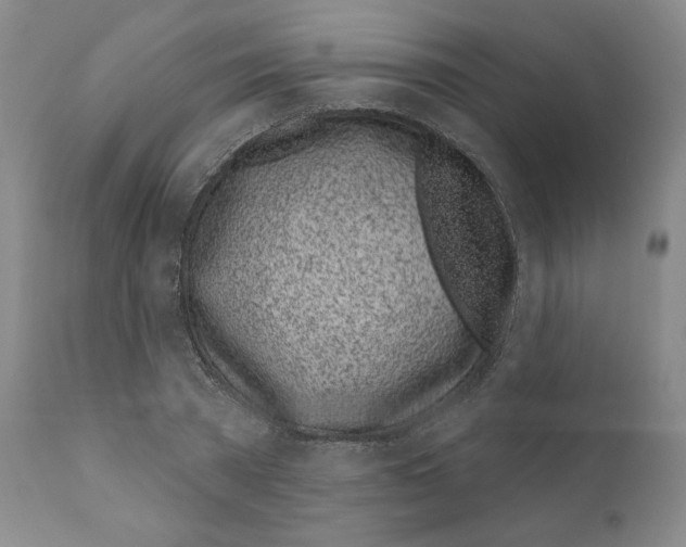 X0000111180785200908121111