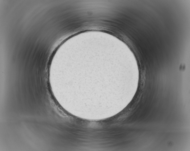 X0000111180787200908121111