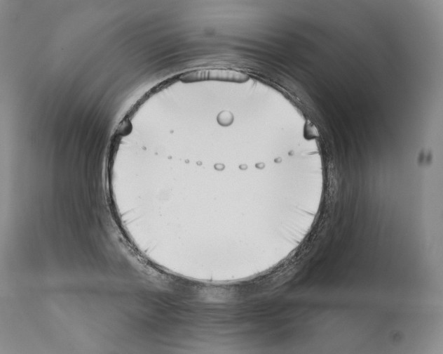 X0000111180788200908121111