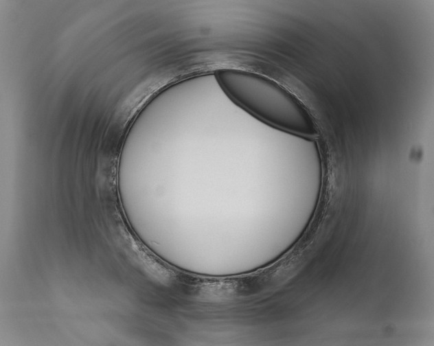 X0000111180793200908121110