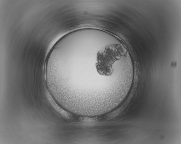 X0000111180796200908121110