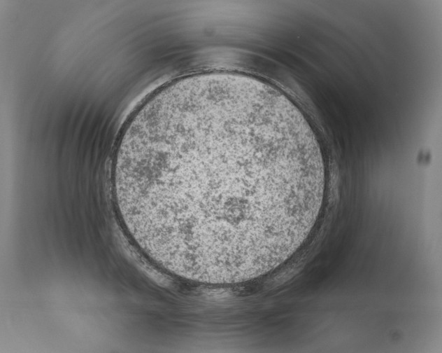 X0000111180798200908121110