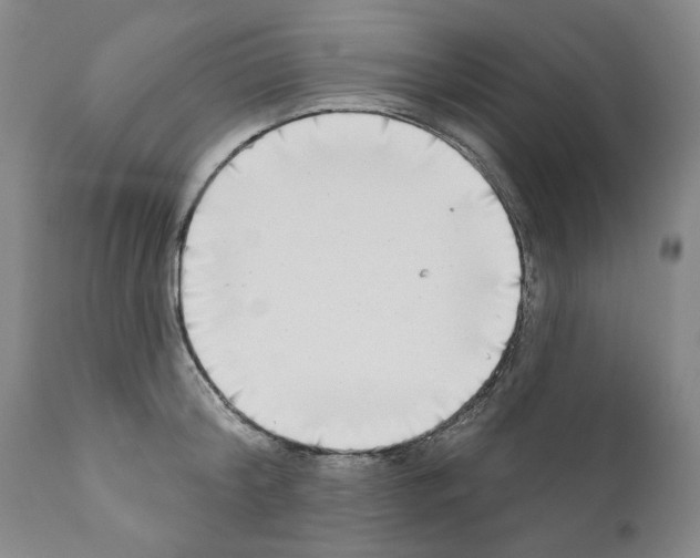 X0000111180804200908121110