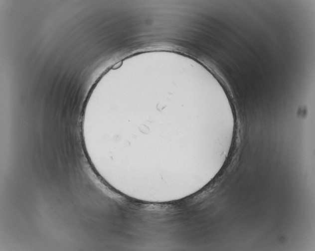 X0000111180805200908121110