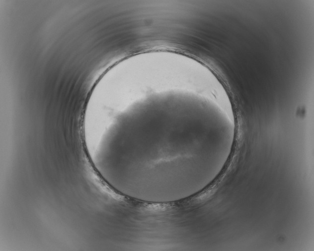 X0000111180806200908121110