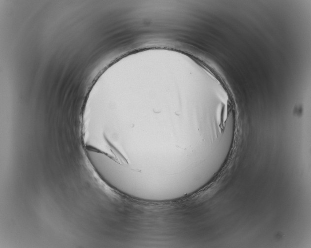 X0000111180807200908121110