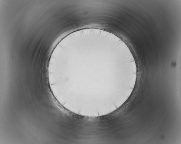 X0000111180808200908121110