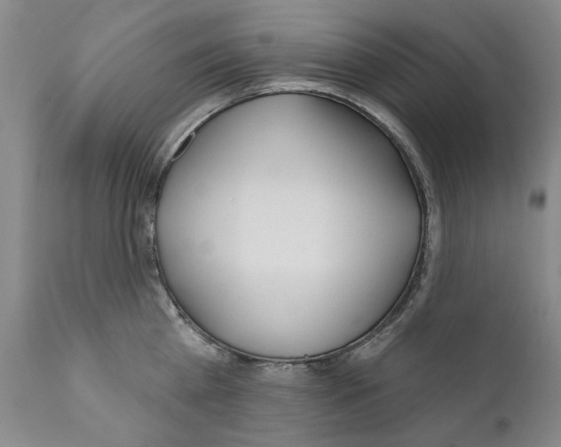 X0000111180809200908121110